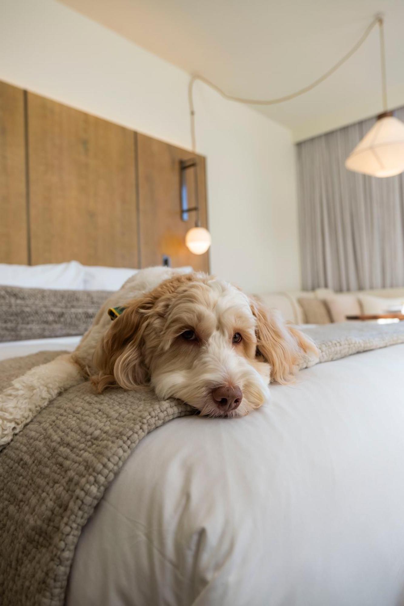 1 Hotel Seattle Zewnętrze zdjęcie