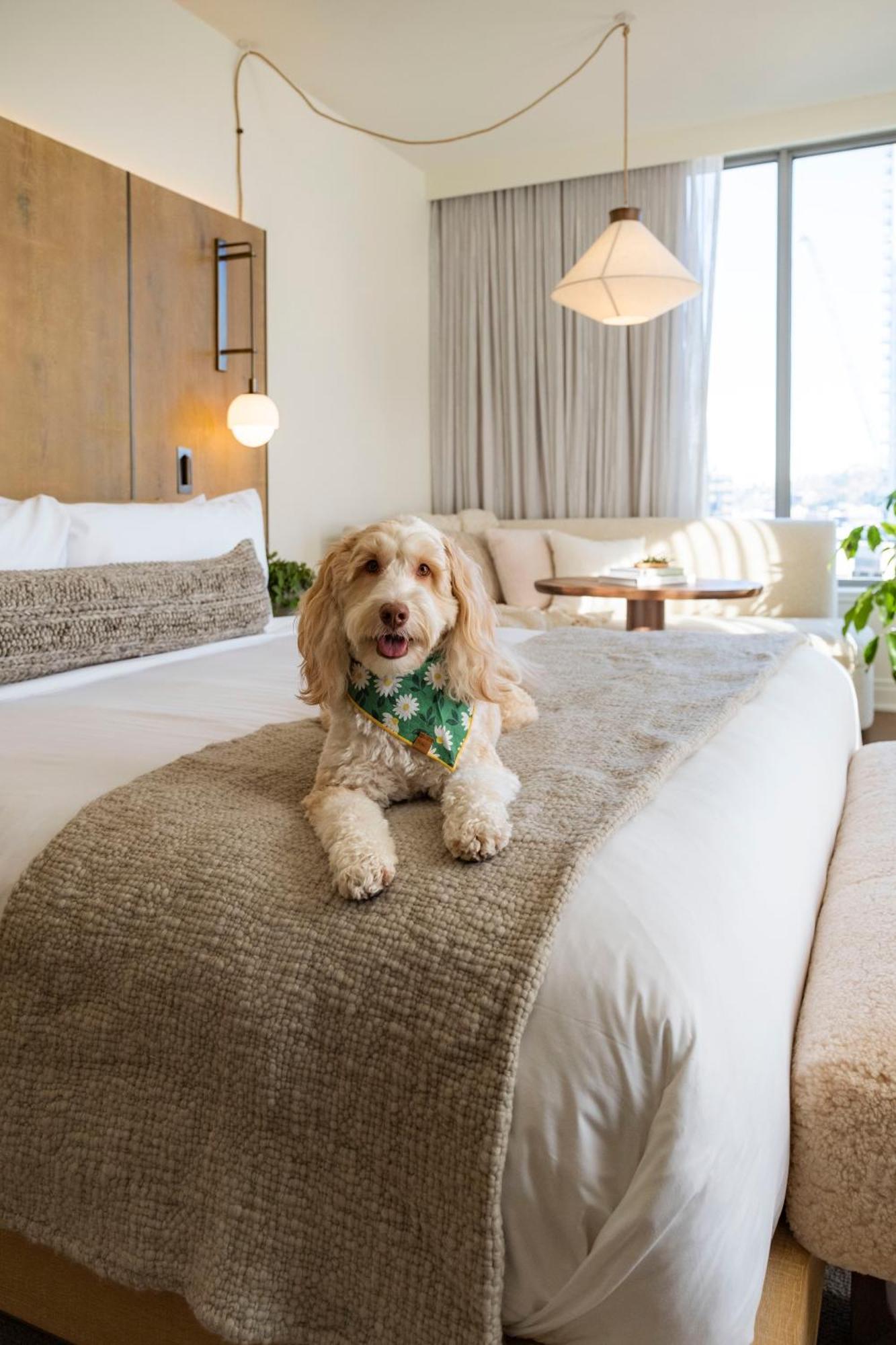 1 Hotel Seattle Zewnętrze zdjęcie